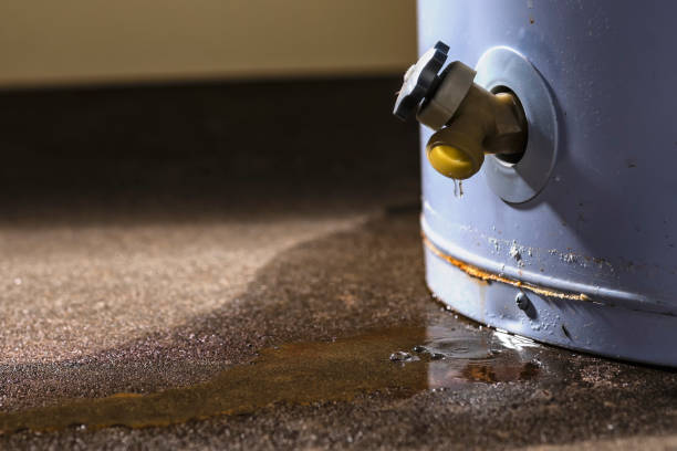 Best Mold removal after water damage  in Hernando, MS