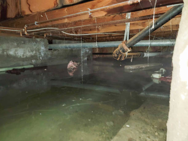 Best Water damage restoration near me  in Hernando, MS
