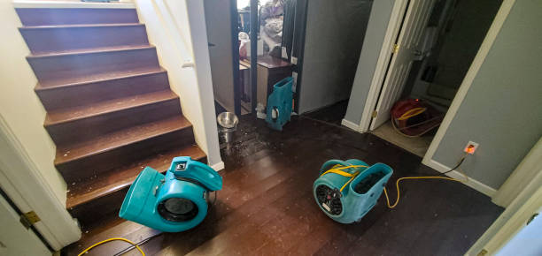 Best Basement water damage restoration  in Hernando, MS