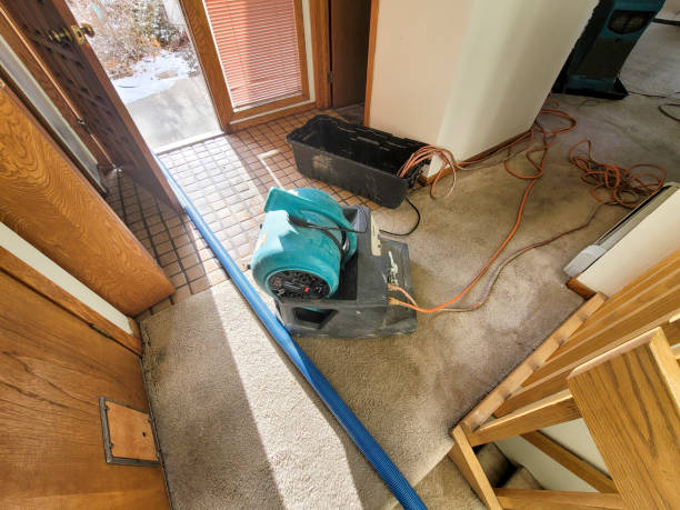 Best Professional water damage repair  in Hernando, MS