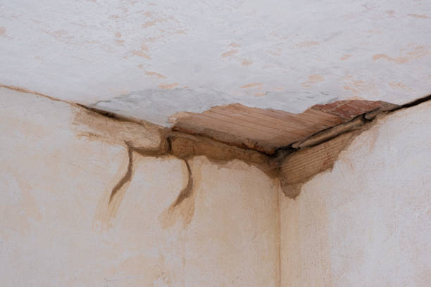Best Water damage restoration services  in Hernando, MS