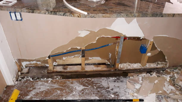 Best Sewage cleanup and water damage restoration  in Hernando, MS