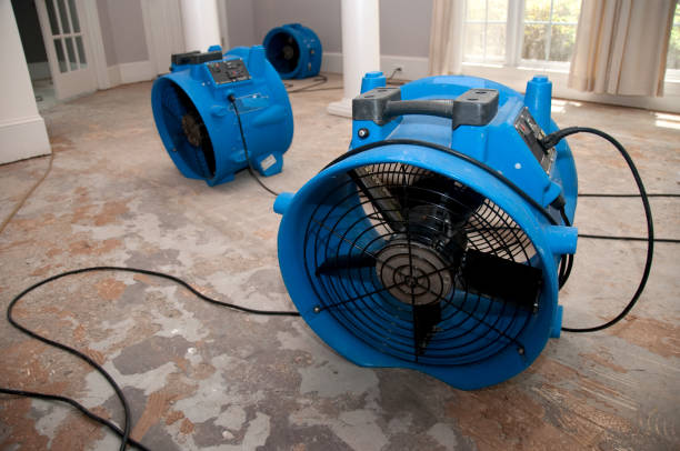 Best Fire Damage Restoration  in Hernando, MS