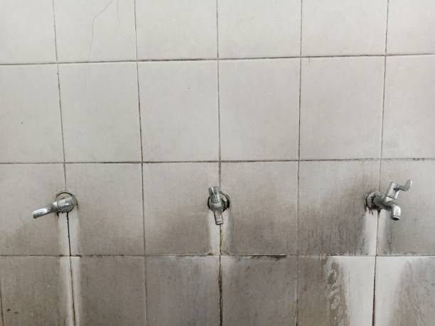 Best Sewage cleanup and water damage restoration  in Hernando, MS