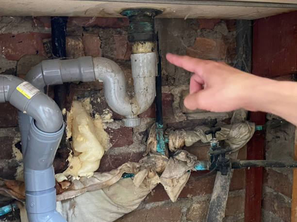 Best Water damage restoration cost  in Hernando, MS