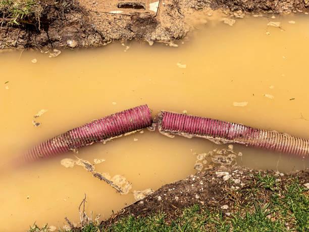 24/7 water damage repair in MS