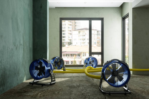 Best Residential water damage restoration  in Hernando, MS