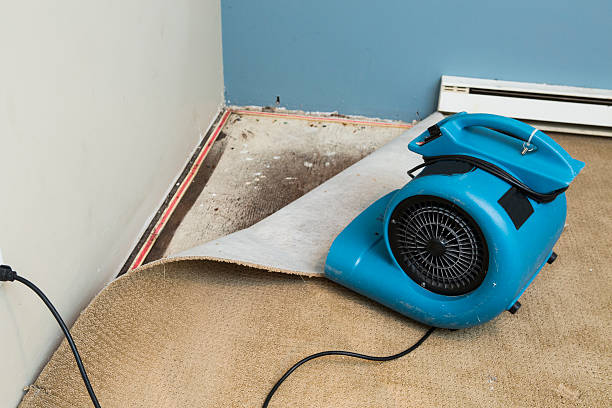 Best Flood restoration services  in Hernando, MS